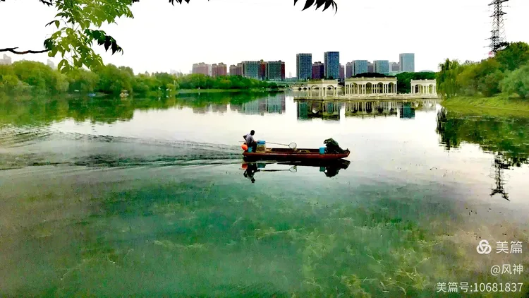 张毕湖公园：花草交织的春日诗笺